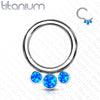 Implant Grade Titanium Blue Bezel Opal Septum Cartilage Daith Hinged Clicker - Pierced Universe
