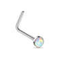 Surgical Steel