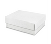 Case of Small Rectangle White Boxes (100)