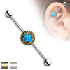 316L Surgical Steel Turquoise Sunburst Tribal Boho Industrial Barbell