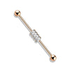 316L Surgical Steel Rose Gold PVD Baguette Gem Cluster Industrial Barbell