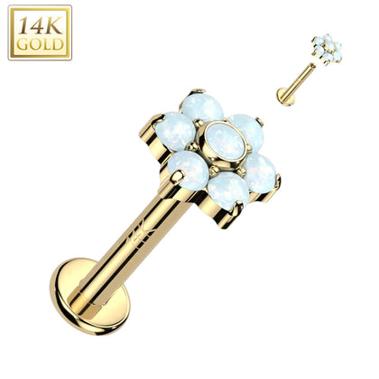 14KT Yellow Gold White Opal Flower Internally Threaded Flat Back Labret - Pierced Universe