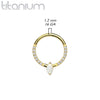 Implant Grade Titanium Pave White CZ Marquise Gem Hinged Clicker Hoop