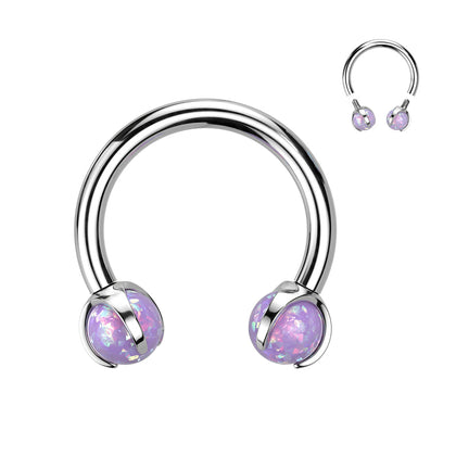 Implant Grade Titanium Purple Opal Internally Threaded Horseshoe