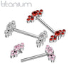 Implant Grade Titanium Dainty Pink CZ Bezel Cluster Nipple Ring