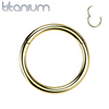 Implant Grade Titanium Gold PVD Hinged Clicker Segment Cartilage Hoop Ring - Pierced Universe