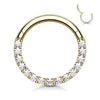 Gold Plated Surgical Steel Paved CZ Hinged Septum Ring Clicker - Pierced Universe