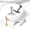 Implant Grade Titanium Black PVD Curved Beaded Internally Threaded Flat Back Labret - Pierced Universe