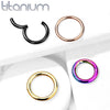 Implant Grade Titanium Black PVD Hinged Clicker Segment Cartilage Hoop Ring - Pierced Universe