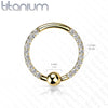 Implant Grade Titanium Gold PVD Front Facing White CZ Pave CBR Hoop Ring - Pierced Universe