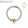 Implant Grade Titanium Gold PVD Front Facing White CZ Pave CBR Hoop Ring - Pierced Universe