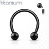 Implant Grade Titanium Internally Threaded Black PVD Horseshoe Circular Barbell - Pierced Universe