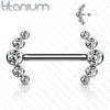 Implant Grade Titanium Internally Threaded White 5 Bezel CZ Gem Nipple Ring - Pierced Universe