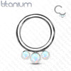 Implant Grade Titanium White Bezel Opal Septum Cartilage Daith Hinged Clicker - Pierced Universe