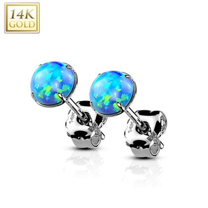 Pair Of 14KT Solid White Gold Circle Round Clawed Blue Opal Stud Earrings