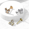 Surgical Steel Gold PVD Internally Threaded White CZ Gem Butterfly Flat Back Labret - Pierced Universe