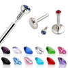 Surgical Steel Internally Threaded Flat Back Multi Use Labret Monroe 2mm Stud - Pierced Universe